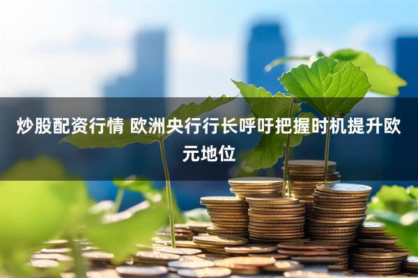 炒股配资行情 欧洲央行行长呼吁把握时机提升欧元地位